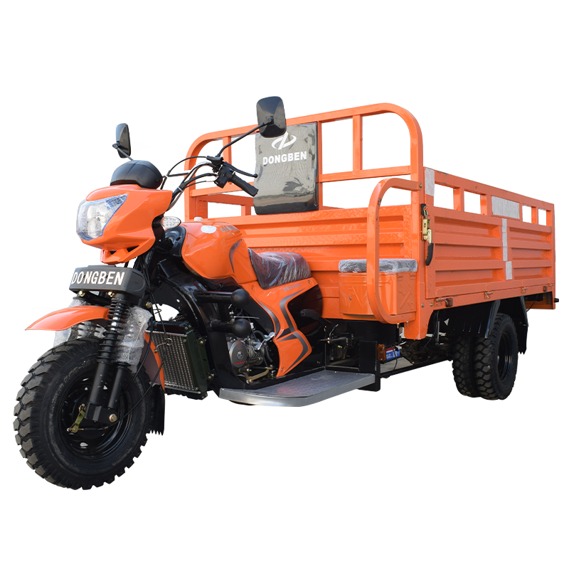 Dongben Brand Tricycle (DB300ZH-300CC)