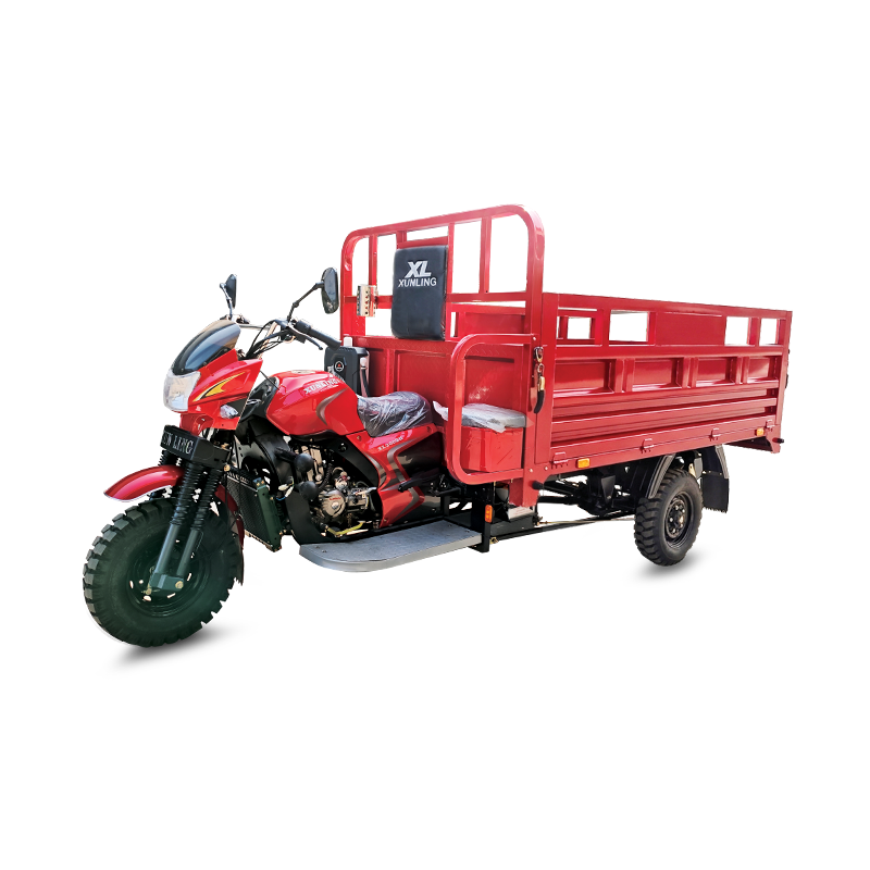 Xunling Brand Tricycle (XL200CC)