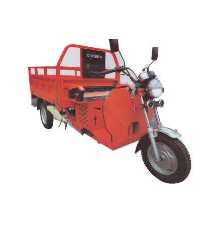 Dongben Brand Tricycle (DB125ZH -125CC)