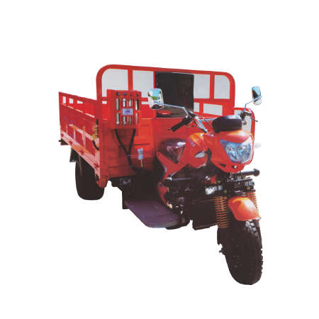 Dongben Brand Tricycle (DB200ZH-200CC) (Double Wheel)