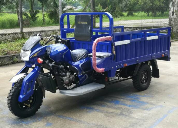 Xunling Brand Tricycle (XL175ZH-175CC)